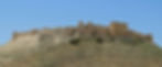 ree
