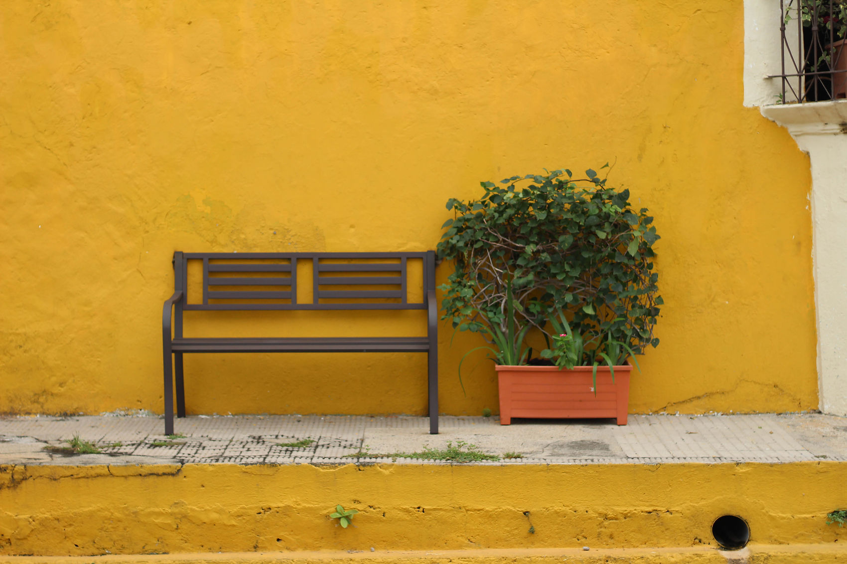 IMG_4126 (2020_08_30 00_12_01 UTC).jpg