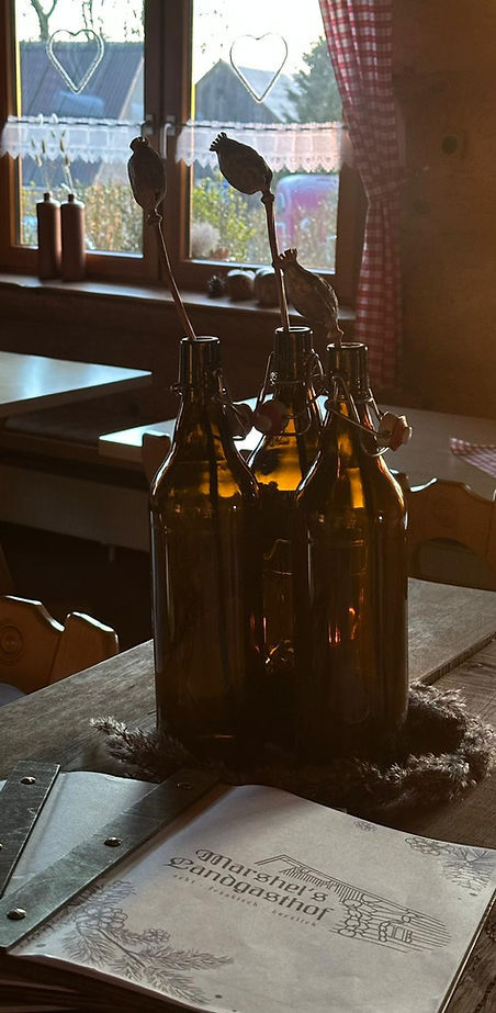 WhatsApp Image 2026-01-31 at 14.40.27.jpeg