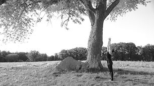 Tranquil, peaceful and transformative  online yoga classes and meditations