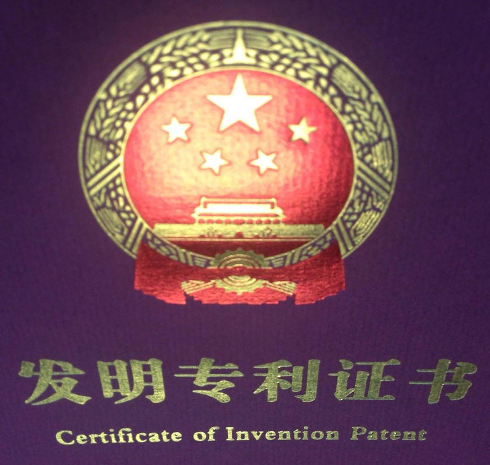Official Seal on a Chinese Patent