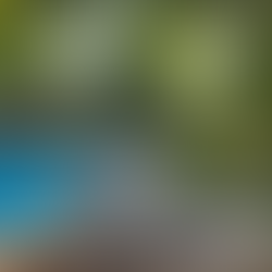 Living Unplugged (July/August)