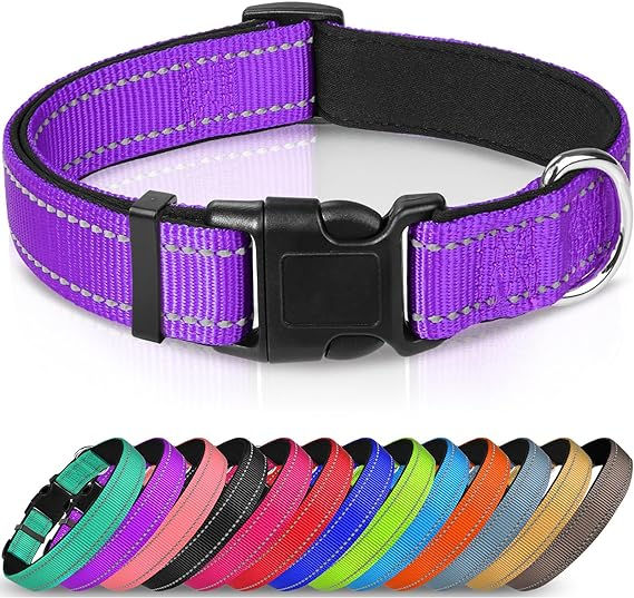 Dog Collar