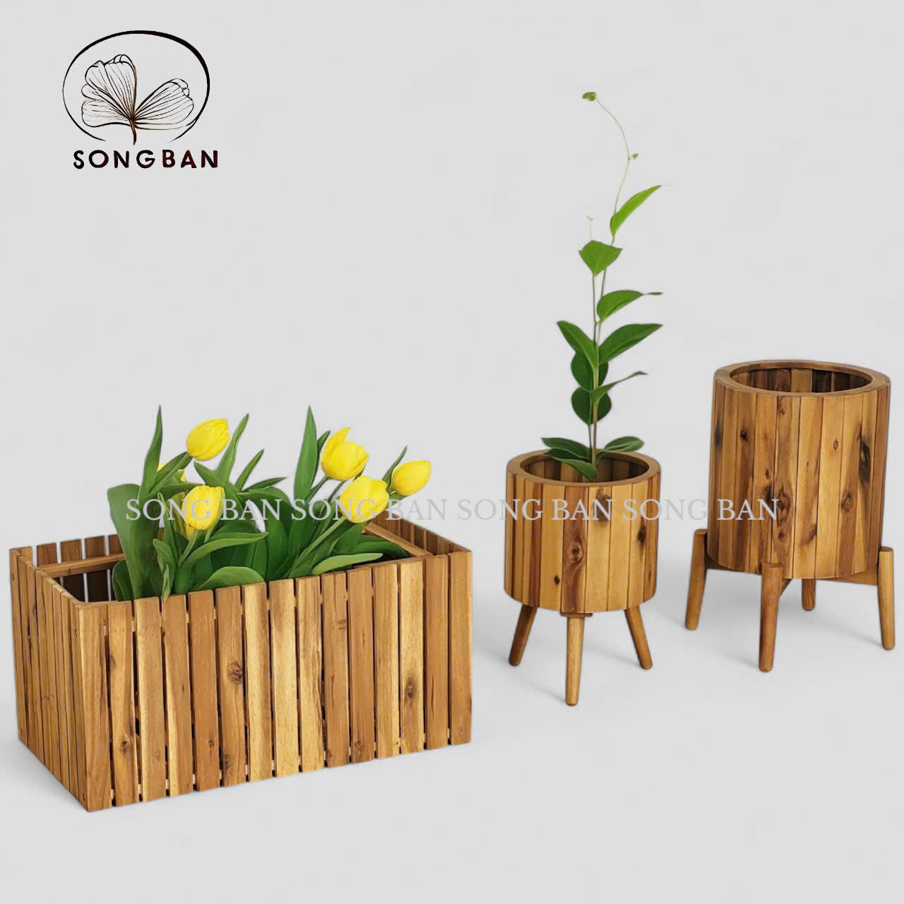 Chậu Khay Gỗ Trồng Cây Hình Trụ Tròn/Chữ Nhật Decor Sân Vườn Nhà Cửa