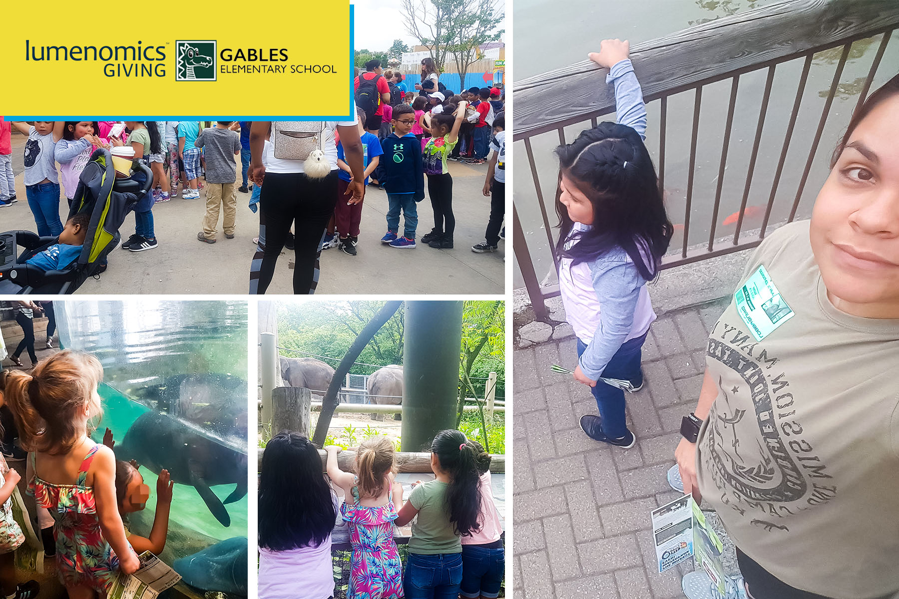 Teaching Children About Animals