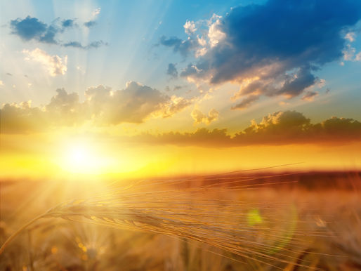 Healthy Lighting Equals Healthy Living