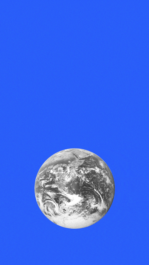 fly.gif