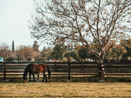 Options for Farm Fence Systems That Drain After Snowmelt