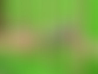 Fence Contractor in Spokane: What Winter Prep Looks Like