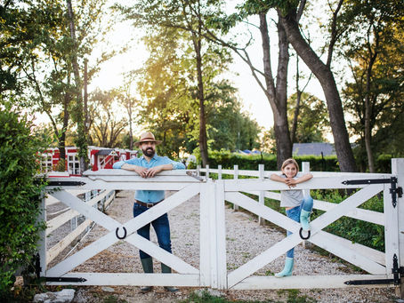 When Ranch Fence Installation Protects More Than Just Property