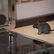 rat infestation