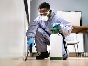 How Residential Pest Control Plans Work in Algonquin