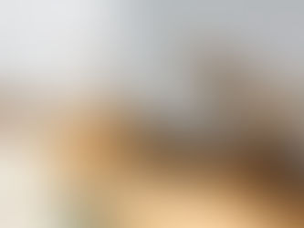 Do You Need Hive Removal Help Before Bees Swarm in Killdeer?