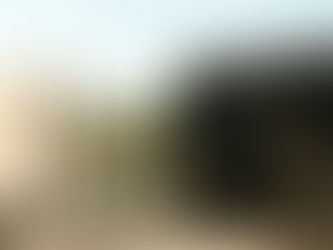 Do You Need Security Gate Installation Before Holiday Closures?