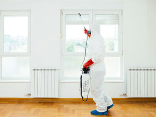 Seasonal Signs You Might Need a Pest Control Company in Cary