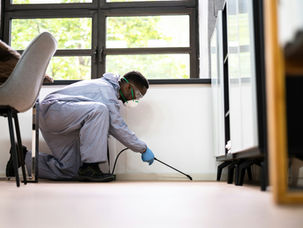What Local Pest Control Services Look Like in Schaumburg