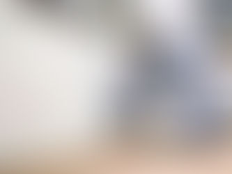 Tips on Cockroach Treatment That Work Best in Schaumburg Homes