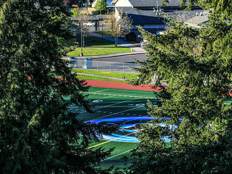 athletic facility fencing