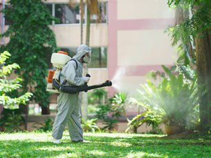 outdoor pest control