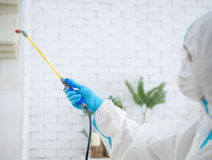 What Pest Services in Crystal Lake Cover During Springtime