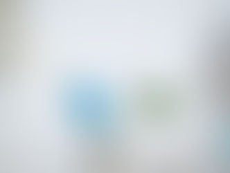 What Pest Services in Crystal Lake Cover During Springtime