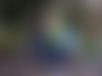 Jane and Ken’s electric bike