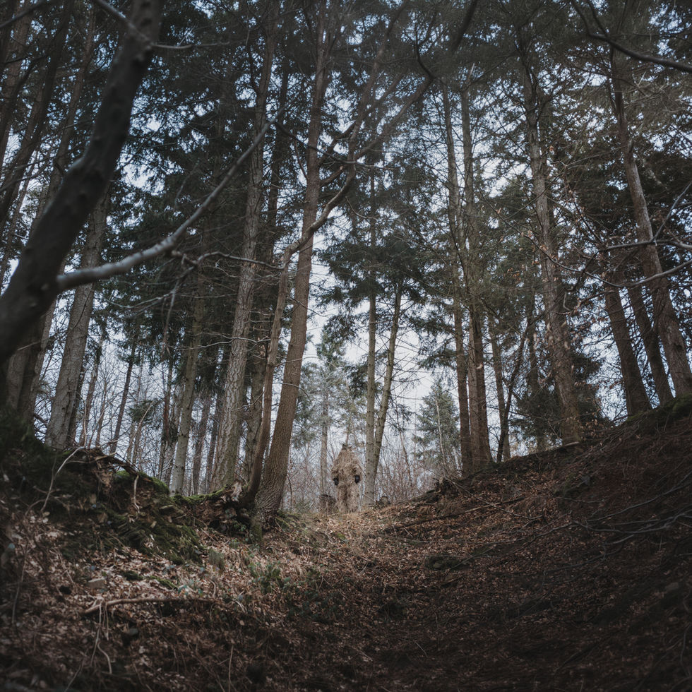 ähzebär, karneval, rheinland, Kunst, Kunstserie, eifel, bad münstereifel, noethen, schempershofe