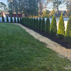 Emerald green fence.jpeg