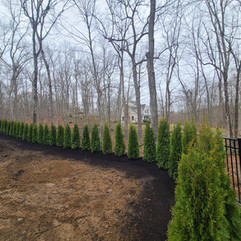 newtown emerald green.jpeg
