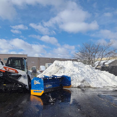 bob cat snow.jpeg