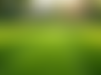 Finding Reliable Mowing Services: Your Guide to a Beautiful Lawn