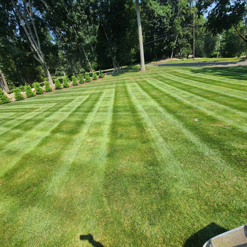 lawn mowing.jpeg