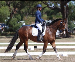 Jack dressage 1_edited