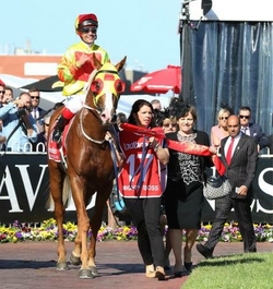 Mighty Boss Strap_edited