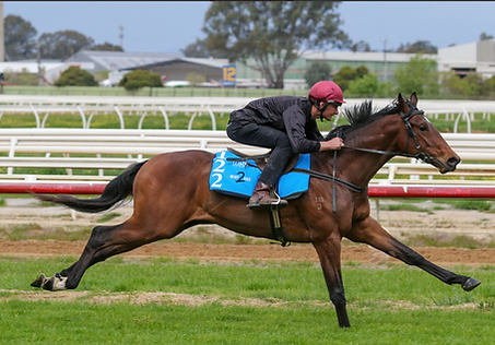 Screenshot 2025-10-12 at 8.03.36 am.png