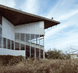 ippodromo_17.jpg