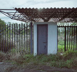 ippodromo_10.jpg