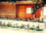 CO_Wedding_edited.jpg