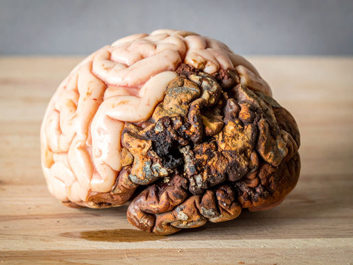 BRR BRR BATAPIM e o fenômeno do Brain Rot: O que está acontecendo com o conteúdo infantil?