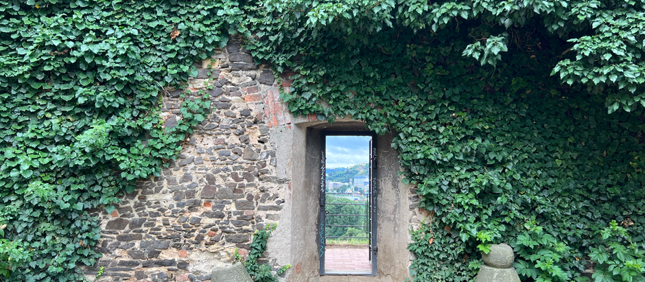 Reflection on The Call