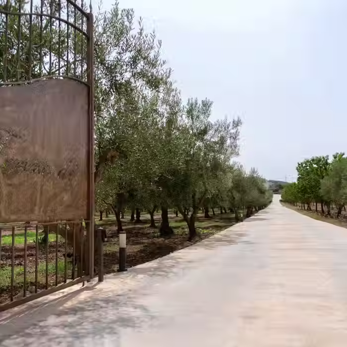 Entrance gate