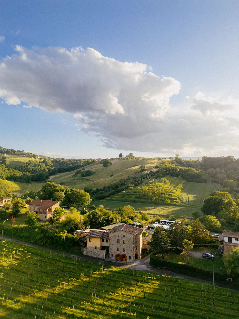 Casale Serena in Umbria. Rolling hills under a vast blue sky with a single large cloud. Rustic houses and lush vineyards create a serene countryside scene.
