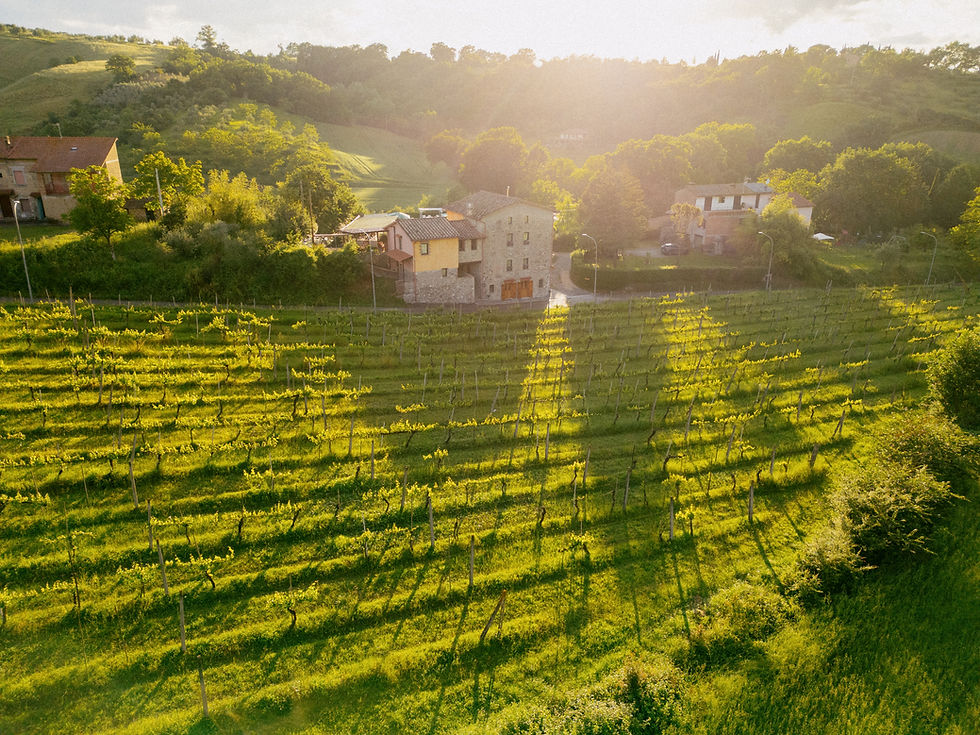 Umbria Tranquillity Retreat