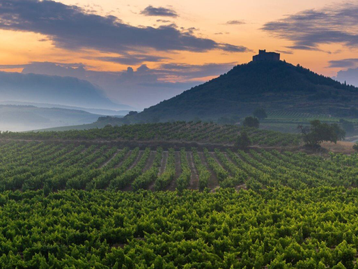 Spain - Rioja, Priorat & Rías Baixas
