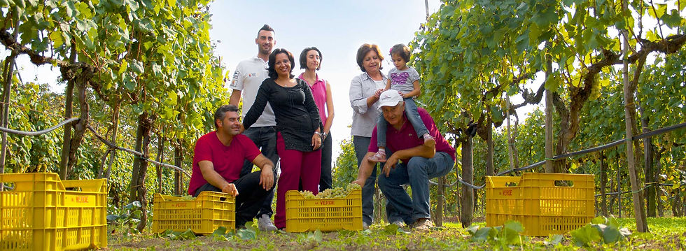 Verde`s family