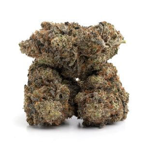 Indica vs Sativa Balance in Runtz Ghost Explained