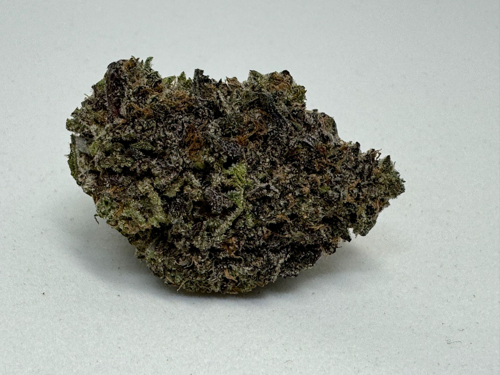 Blackberry Gelato AAAA