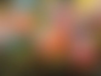 How to Identify High-Quality Edibles When Shopping Online