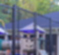 463180859_17931391016939828_6062477640865473720_n_edited.jpg