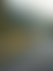 Why Guardrail Fencing Is Essential for Safety Beyond Commercial Use